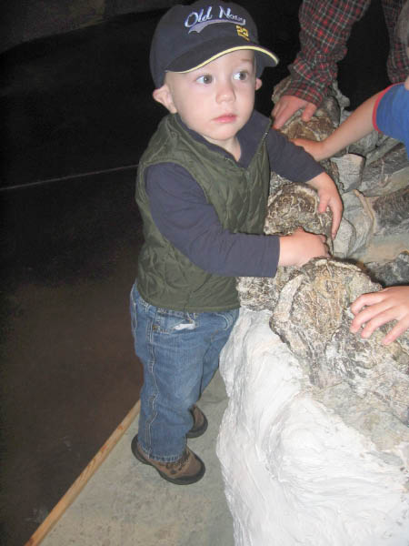 IMG_6066_edited