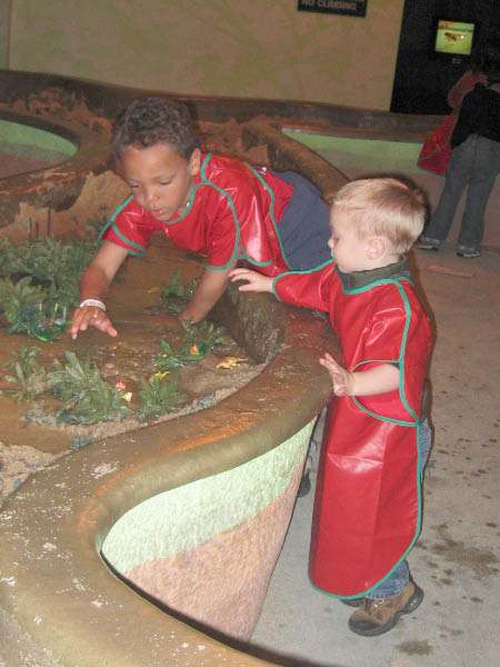 IMG_6074_edited