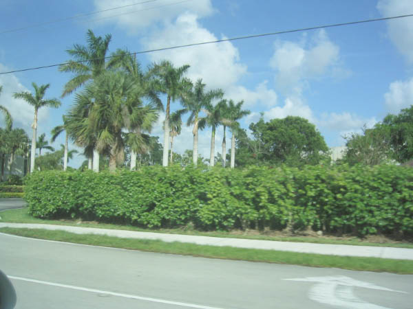 IMG_0070