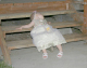 IMG_3588_edited