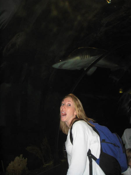 IMG_5684_edited